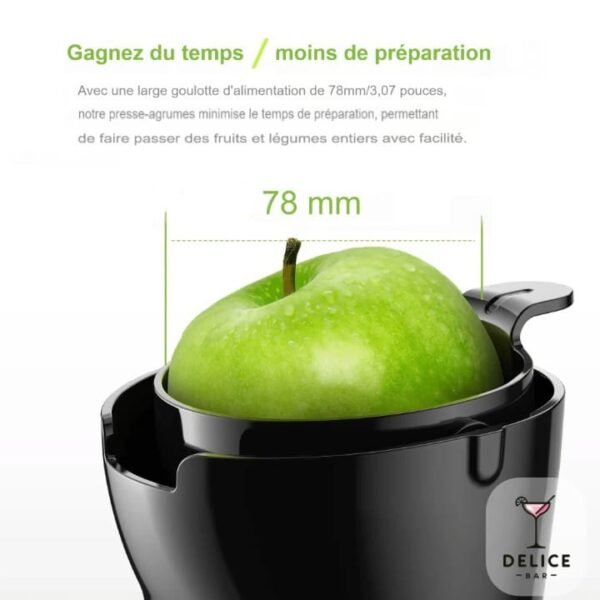 Extracteur de jus professionnel – Image 4
