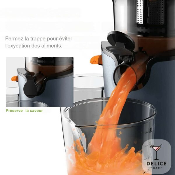 Extracteur de jus professionnel – Image 5