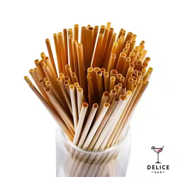 Paille jetable – Image 7