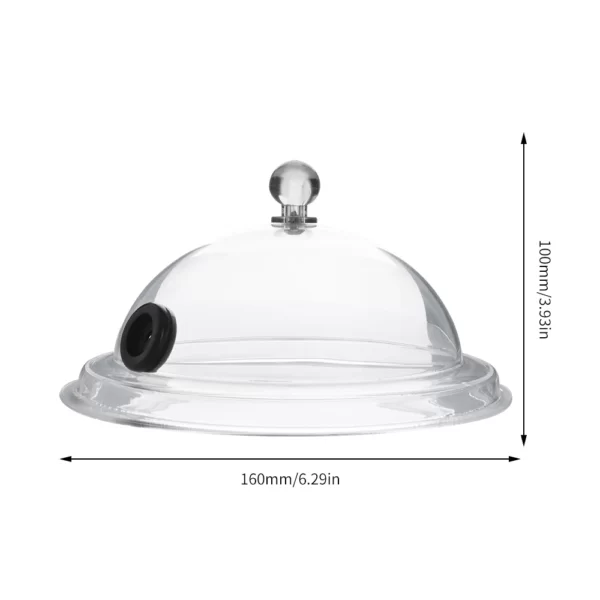 Mini cloche en verre cocktail moléculaire 13