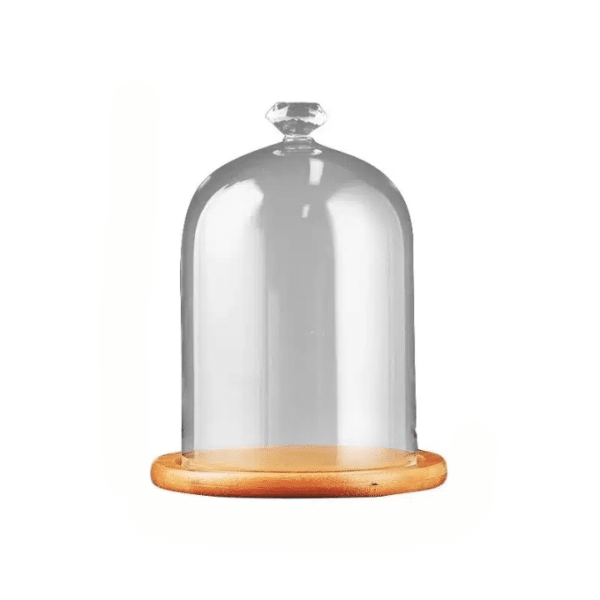 Mini cloche en verre avec socle en bois