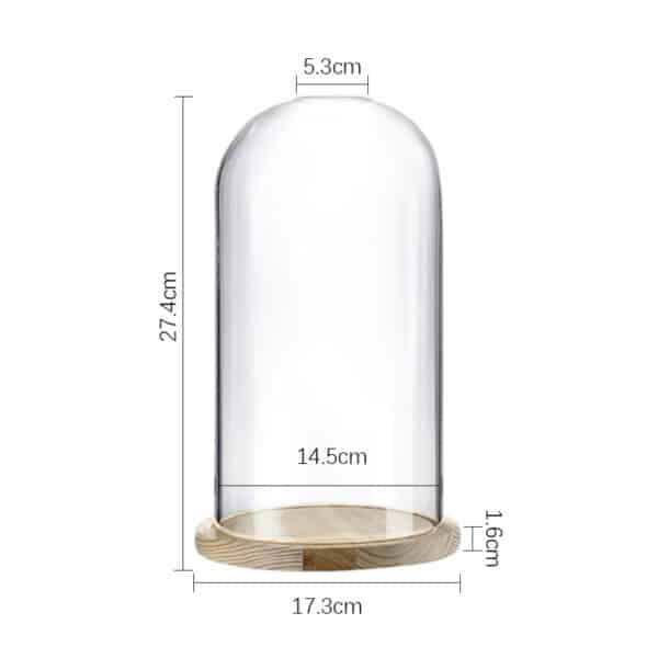 Grande cloche en verre avec socle en bois clair – Image 2