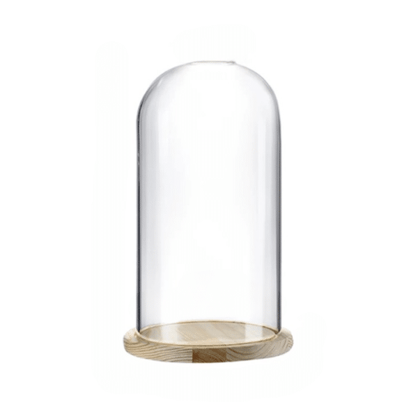 Grande cloche en verre avec socle en bois clair