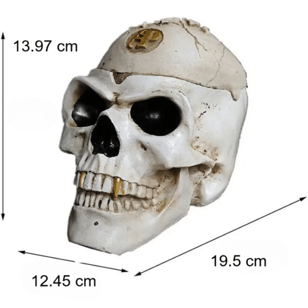 Cendrier tete de mort - Halloween – Image 6