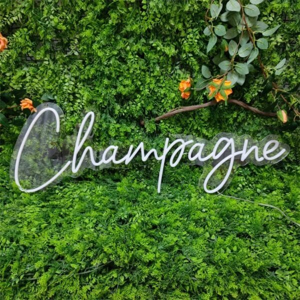 Neon Champagne – Image 3