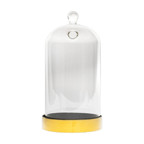 Cloche en verre avec socle doré