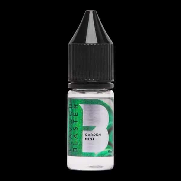 Arôme Menthe fraîche – Image 4